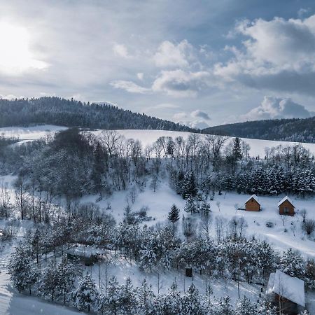 Villa Dobre Miejsce à Ustrzyki Dolne Extérieur photo