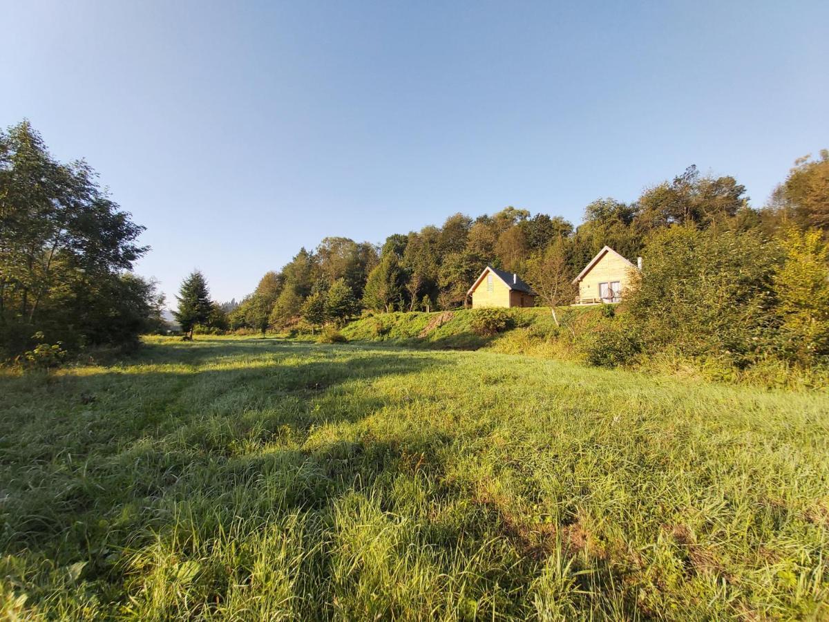 Villa Dobre Miejsce à Ustrzyki Dolne Extérieur photo