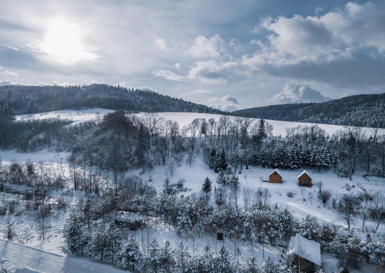 Villa Dobre Miejsce à Ustrzyki Dolne Extérieur photo