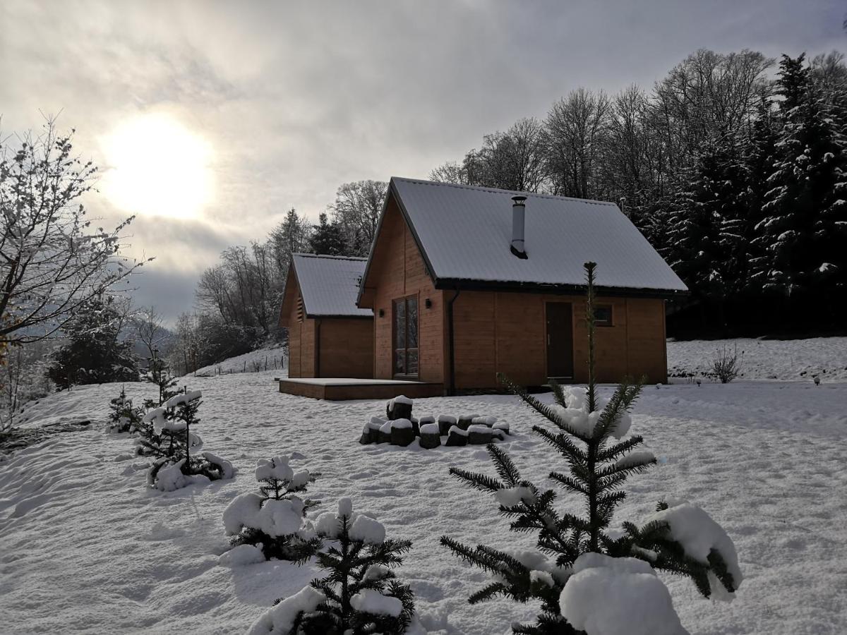 Villa Dobre Miejsce à Ustrzyki Dolne Extérieur photo